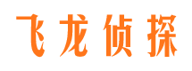 东风侦探